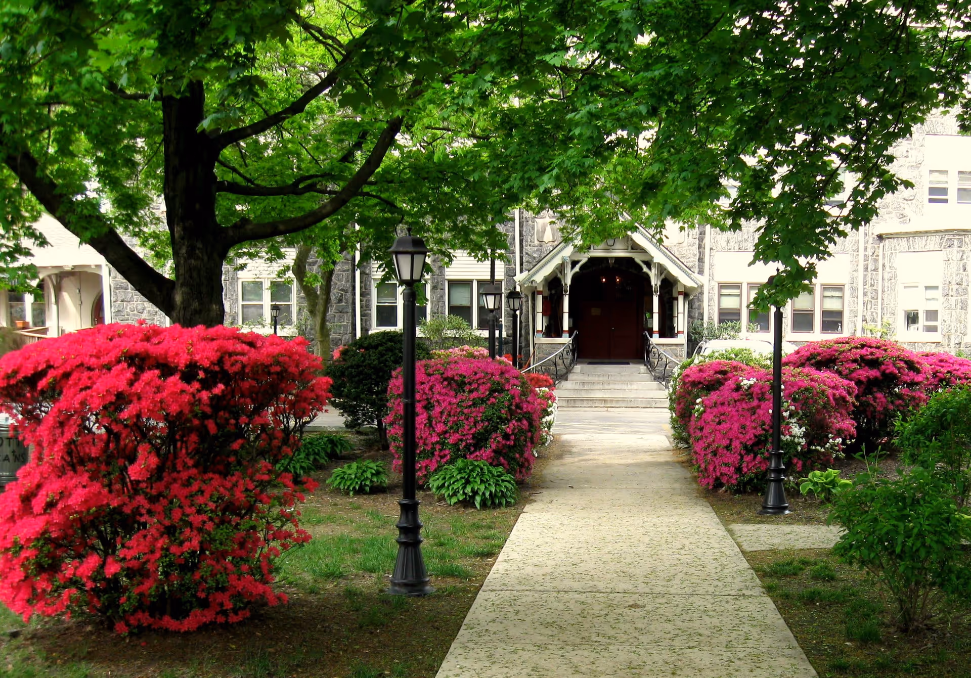 A stone building entrance with a covered porch and steps, surrounded by lush green trees and vibrant pink flowering bushes along a paved walkway.