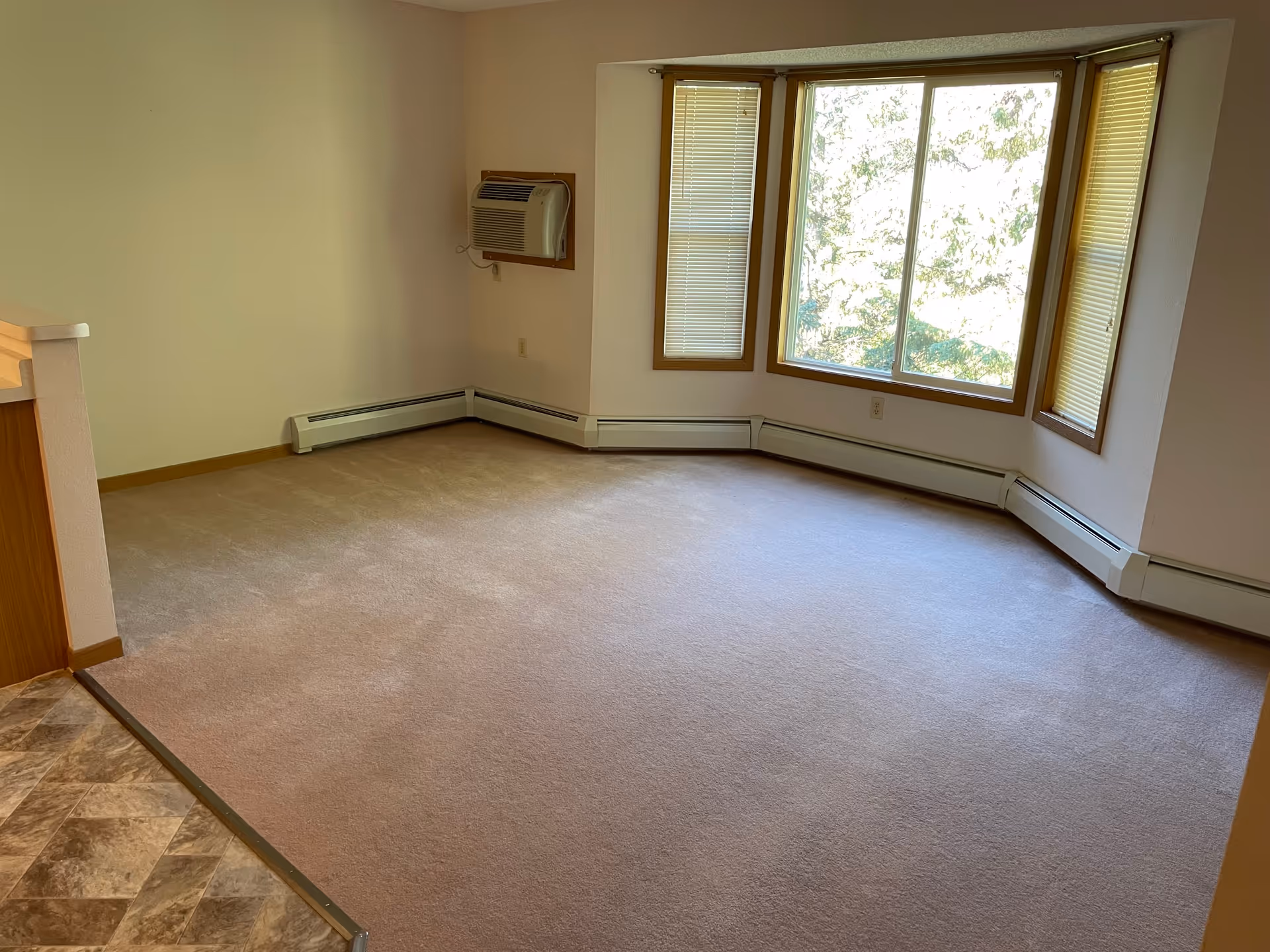 Empty room with beige carpet and a large bay window with three sections, two narrow windows with blinds on either side of a larger central window. There is a wall-mounted air conditioning unit on the left wall and baseboard heating along the walls. The floor transitions from carpet to a tiled area in the foreground.