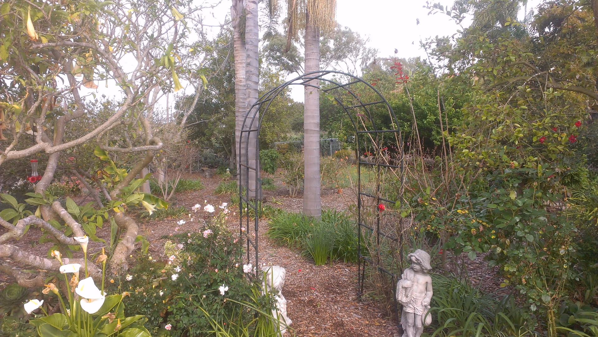 Garden path with a metal arch, flowering plants, palm trees, and a small stone statue.