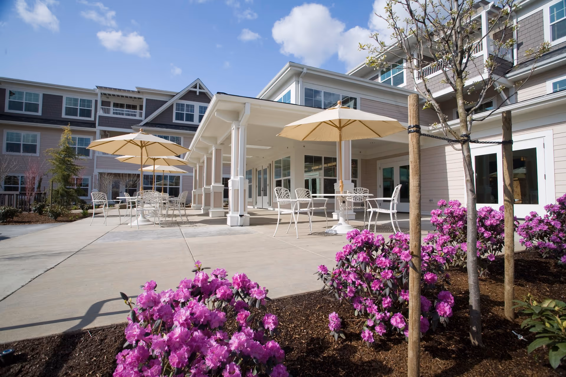 Outdoor patio area at The Stafford Retirement Community with white metal tables and chairs under beige umbrellas, surrounded by blooming purple flowers and a multi-story building in the background under a blue sky with some clouds.
