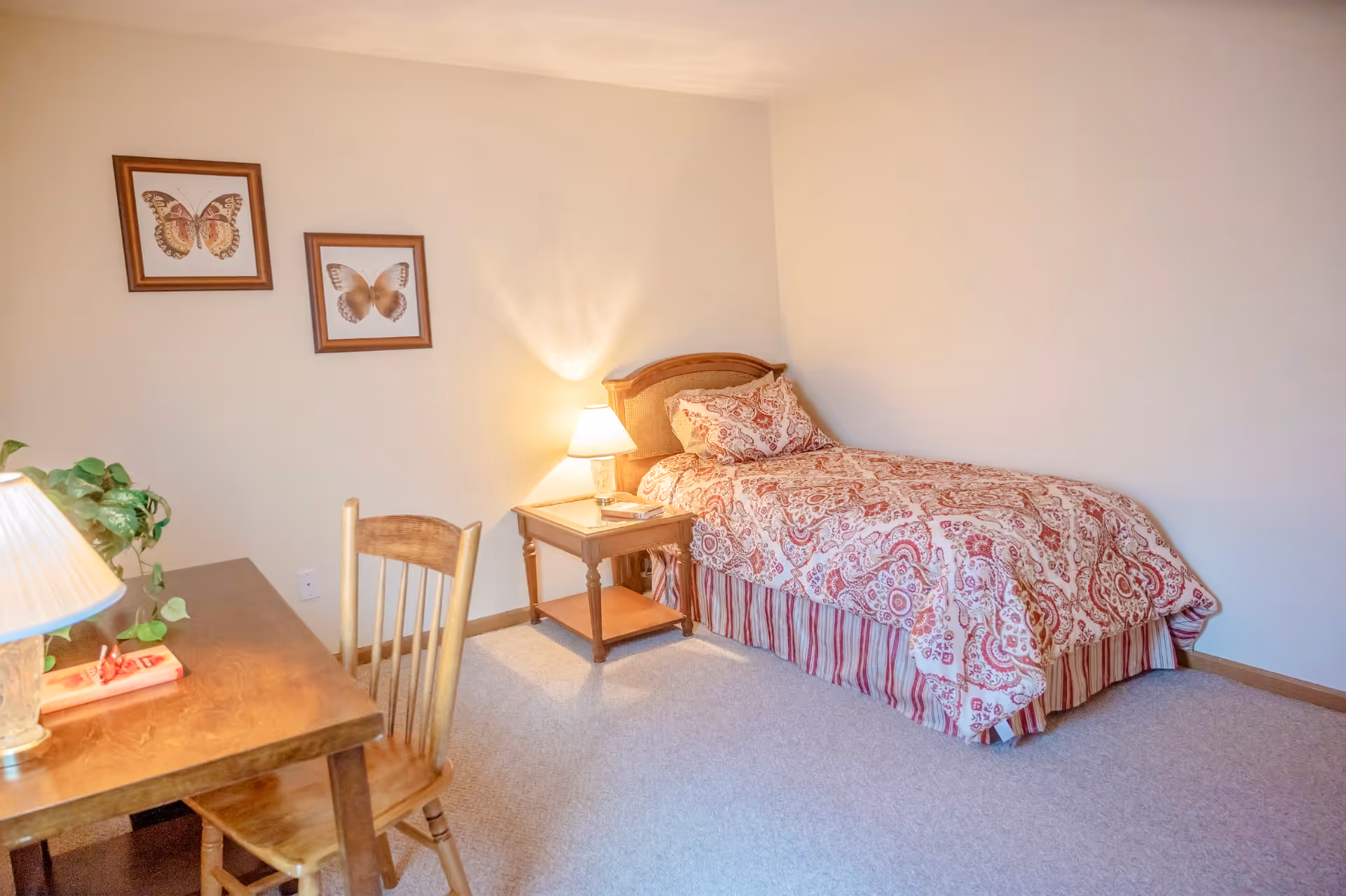 Well-lit single bedroom with a twin bed in patterned bedding, a nightstand with a lamp, a wooden desk and chair, and butterfly wall art.
