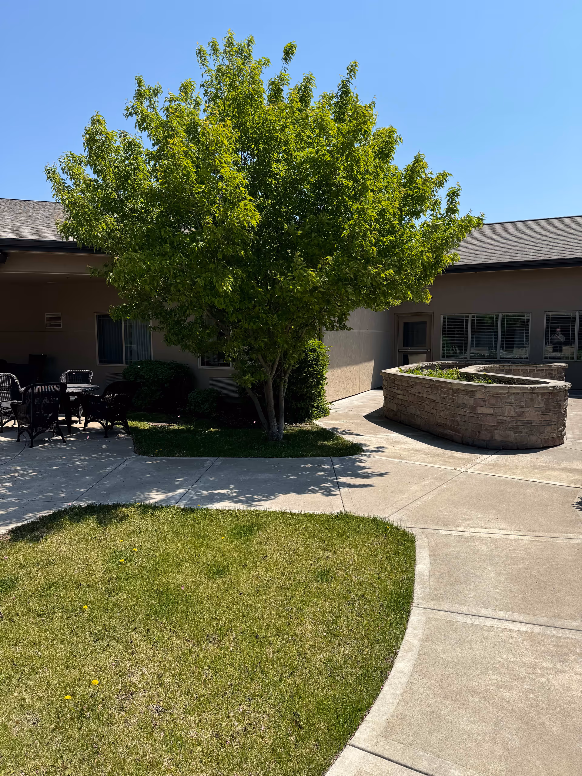 Outdoor courtyard area with a green leafy tree in the center, surrounded by a concrete walkway and a patch of grass. There are black outdoor chairs and tables on the left side near the building, and a raised stone planter on the right side. The building has beige walls and windows with blinds.