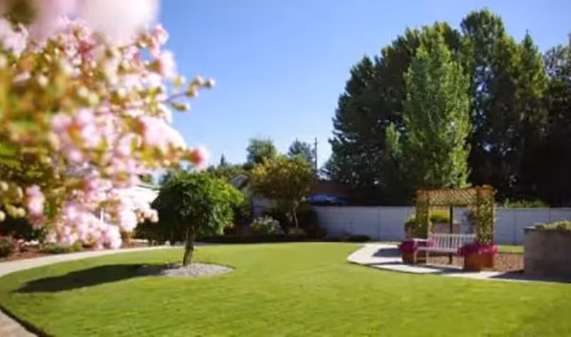 A well-maintained outdoor garden area with a green lawn, a small tree in the center, flowering plants, a white bench under a wooden pergola, and tall trees in the background under a clear blue sky.
