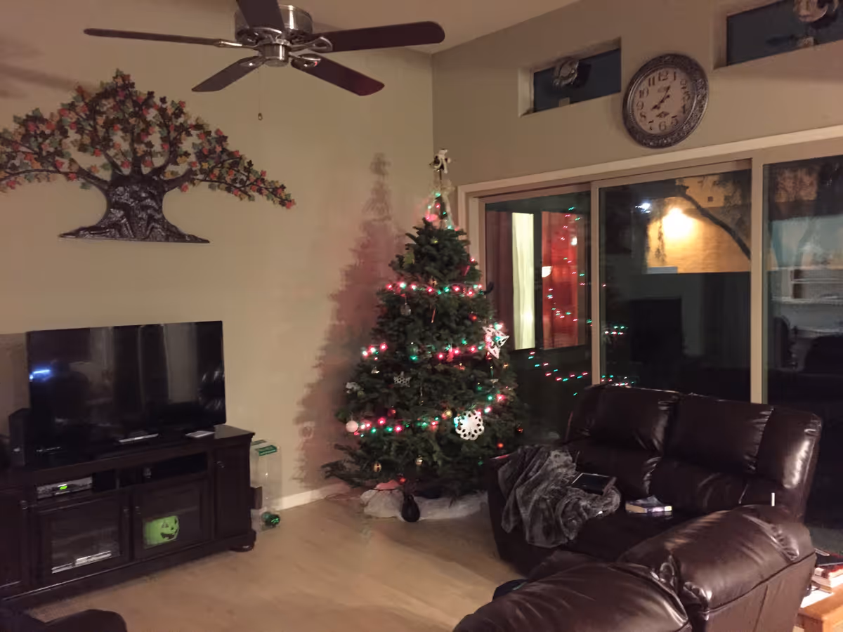 A cozy living room decorated for Christmas with a lit Christmas tree in the corner. The room features a ceiling fan, a wall clock above sliding glass doors, a large flat-screen TV on a dark wooden stand, and dark brown leather sofas with a blanket and books on them. A decorative tree wall art is mounted on the wall above the TV.