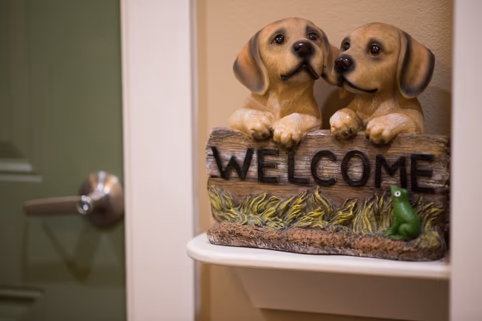 A decorative 'WELCOME' sign featuring two dog figurines and a small green frog on a shelf beside a green door.