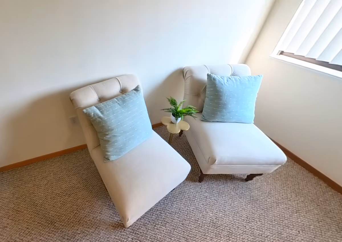 Two beige upholstered lounge chairs with light blue pillows are placed side by side on a carpeted floor near a window with vertical blinds. A small wooden side table with a potted green plant sits between the chairs.