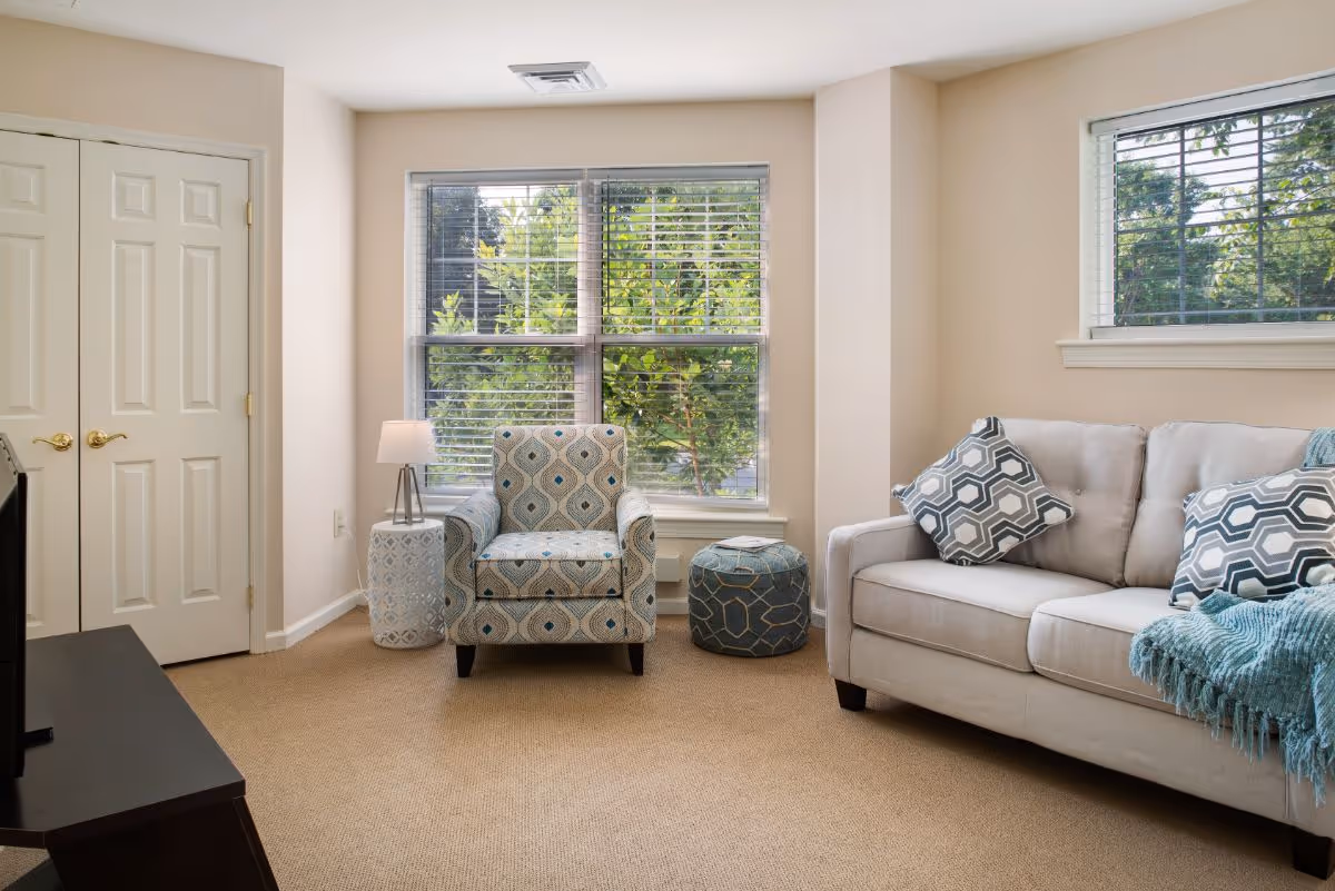 Sunlit living room with a patterned armchair and ottoman by a large window, a light-gray sofa with patterned pillows, and a TV stand.