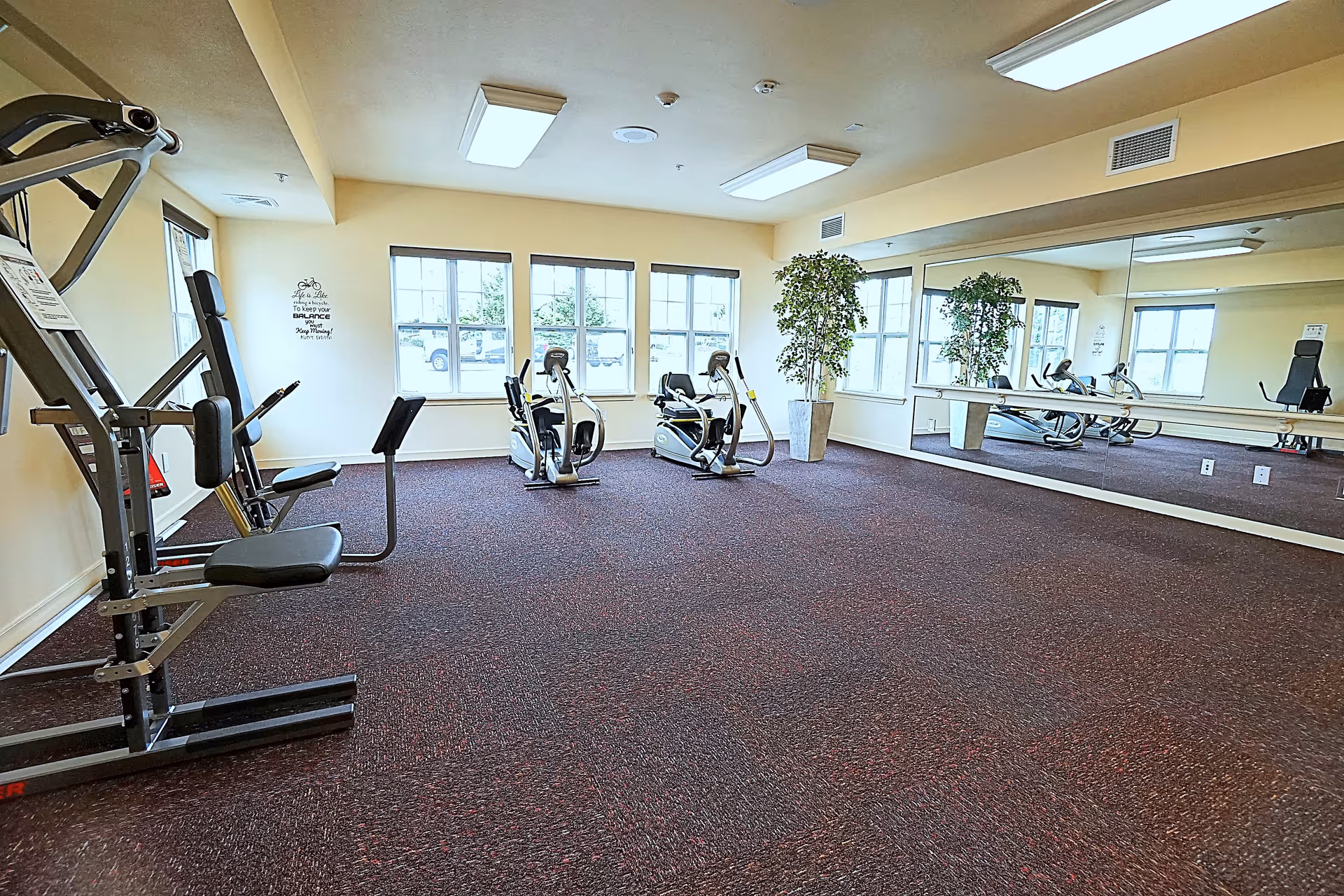 A fitness room with exercise equipment including a multi-station gym machine and two recumbent exercise bikes. The room has large windows letting in natural light, a large wall mirror, beige walls, and a dark carpeted floor. There is a potted plant near the mirror and a motivational wall decal near the windows.