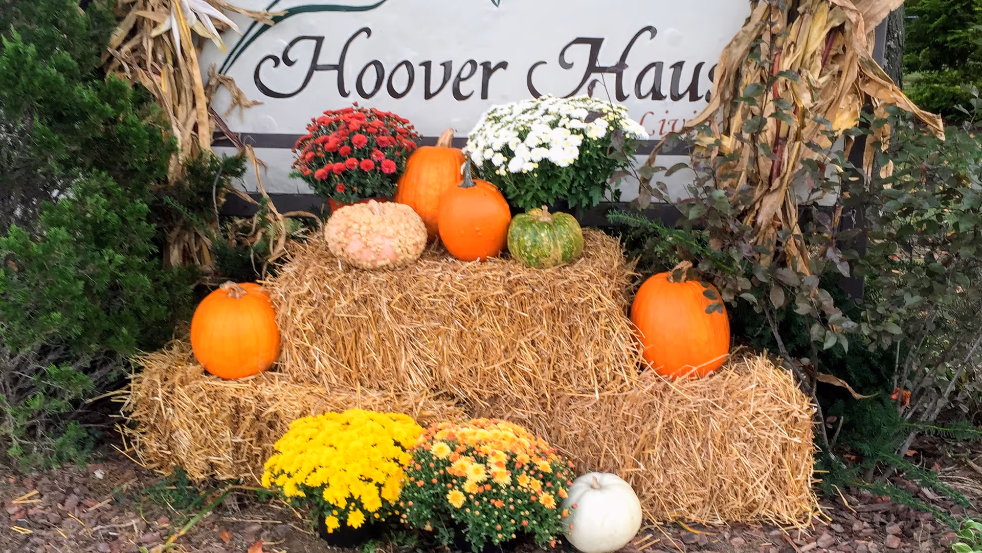 Autumn display of pumpkins, hay bales and potted mums in front of a Hoover Haus sign.