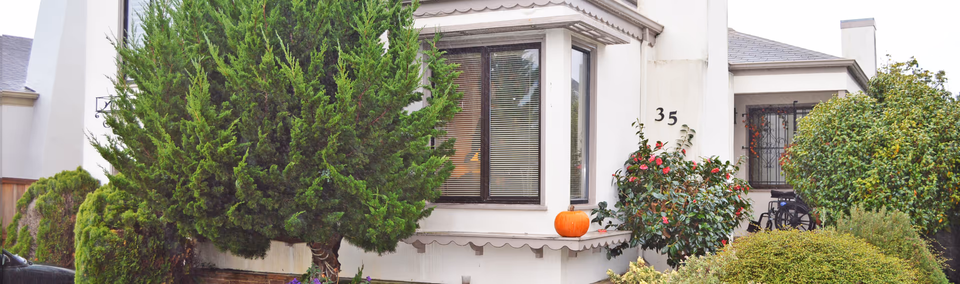 Exterior view of a residential building with white walls and a bay window. The house number 35 is visible next to the window. There is a large green bush and other plants in front of the building, along with a pumpkin placed on the ledge beneath the window. A wheelchair is partially visible near the entrance.