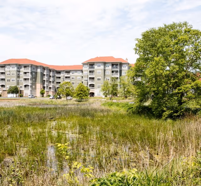 Exterior view of a multi-story senior living building with red roofs seen behind a marshy wetland and trees.