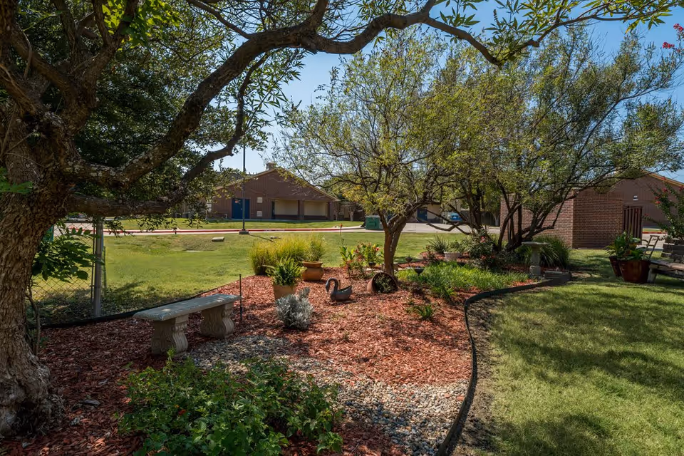 A landscaped garden area with trees, shrubs, and decorative plants surrounded by mulch and rocks. There is a stone bench on the left side and a brick building in the background under a clear blue sky.