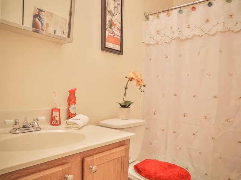 A bathroom with a wooden vanity cabinet, a sink with a chrome faucet, a soap dispenser, and a red air freshener on the counter. A white towel is folded next to the sink. There is a toilet with a small potted orchid plant on top. A shower with a white curtain decorated with small floral patterns and a red bath mat is visible. A framed picture hangs on the wall above the toilet.
