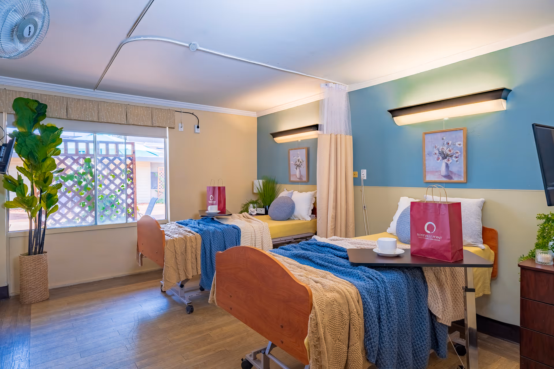 A bright shared resident bedroom with two adjustable beds, bedside tables, wall art, plants, and gift bags.