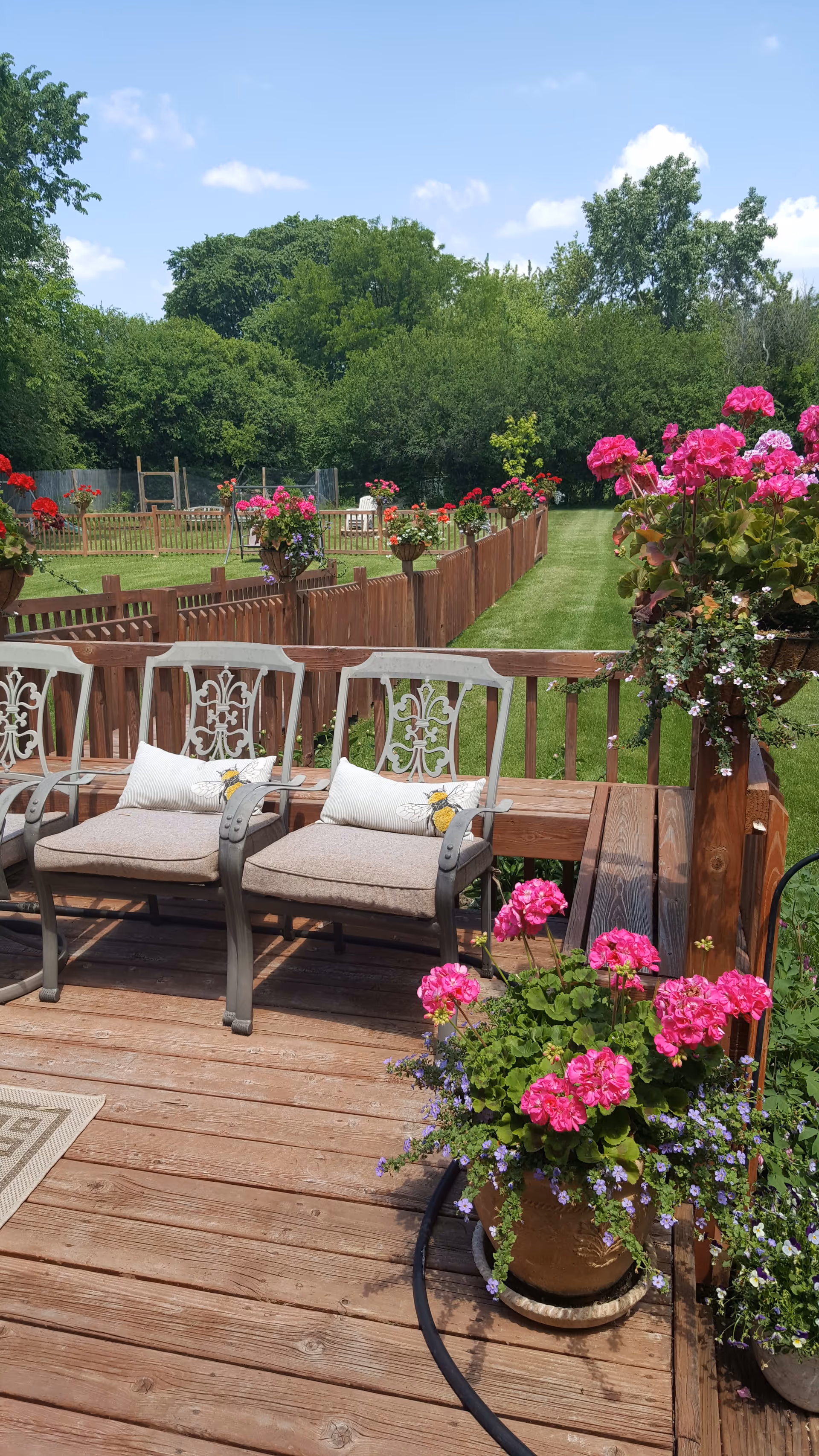 A wooden deck with cushioned metal chairs and decorative pillows, surrounded by vibrant pink and red flowers in pots and hanging baskets. Beyond the deck is a fenced grassy area with more flowers and trees in the background under a blue sky with a few clouds.