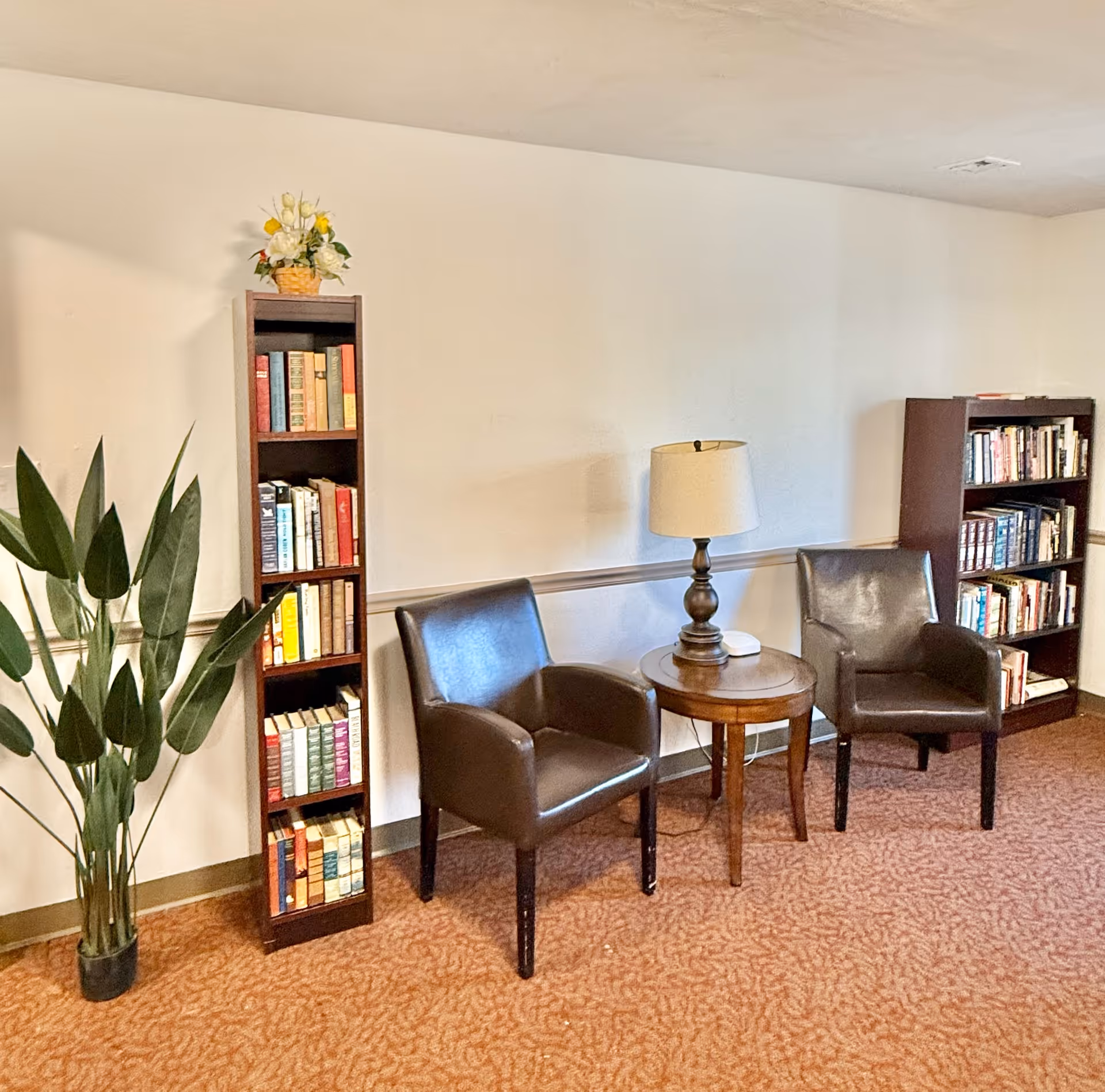 Two brown leather chairs flanking a round wooden side table with a lamp, placed between bookshelves and a potted plant in a cozy reading area.