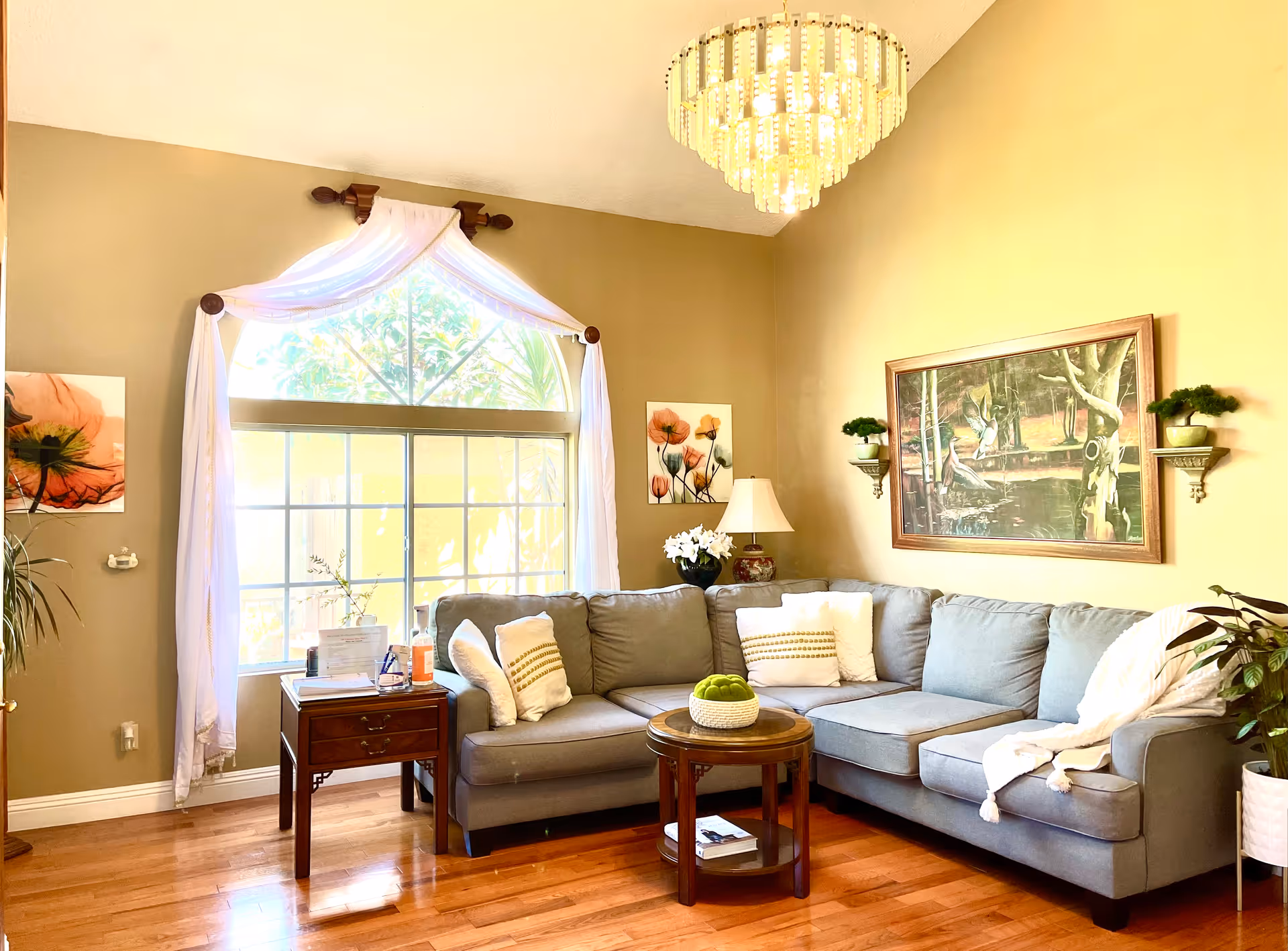 A bright living room with a large gray sectional sofa adorned with white and patterned pillows. A round wooden coffee table with a decorative bowl of green apples sits in front of the sofa. The room features a large window with white drapes, hardwood floors, a chandelier, framed artwork on the walls, a table lamp, and several potted plants.
