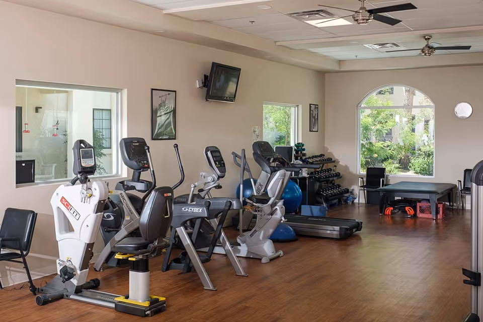 A fitness room with exercise equipment including stationary bikes, a treadmill, dumbbells on racks, exercise balls, and a workout bench. The room has large windows letting in natural light and a wall-mounted TV.