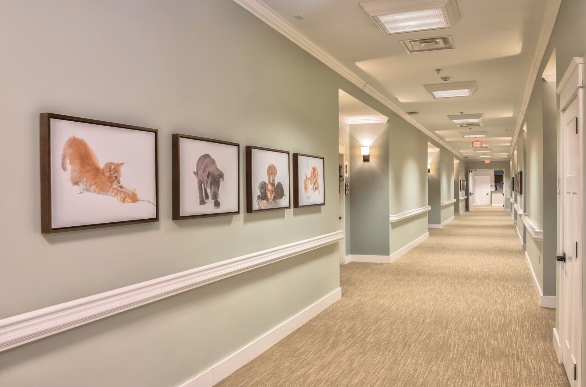 A long, well-lit hallway in a senior living facility with light green walls and beige carpet. The hallway features framed pictures of playful kittens and puppies on the left wall. There are white doors and wall sconces along the corridor, with an exit sign visible at the far end.