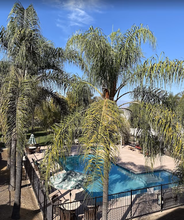 Palm trees surround a fenced outdoor swimming pool and patio with chairs and umbrellas under a clear blue sky.