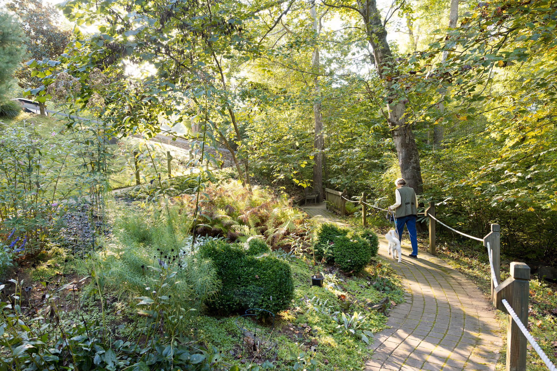 A person walking a dog on a paved pathway surrounded by lush greenery and trees in a garden or wooded outdoor area, with sunlight filtering through the leaves.