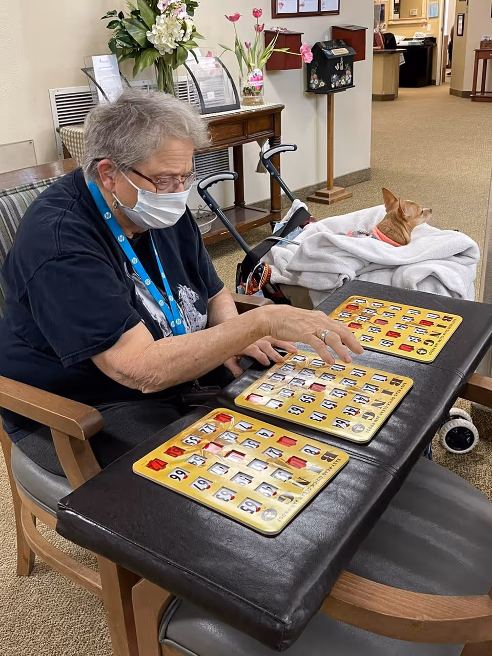 An elderly person wearing a mask and glasses is sitting at a table playing bingo with three bingo cards in front of them. A small dog wrapped in a blanket is sitting in a stroller nearby. The background shows a hallway with furniture and flowers on a table.