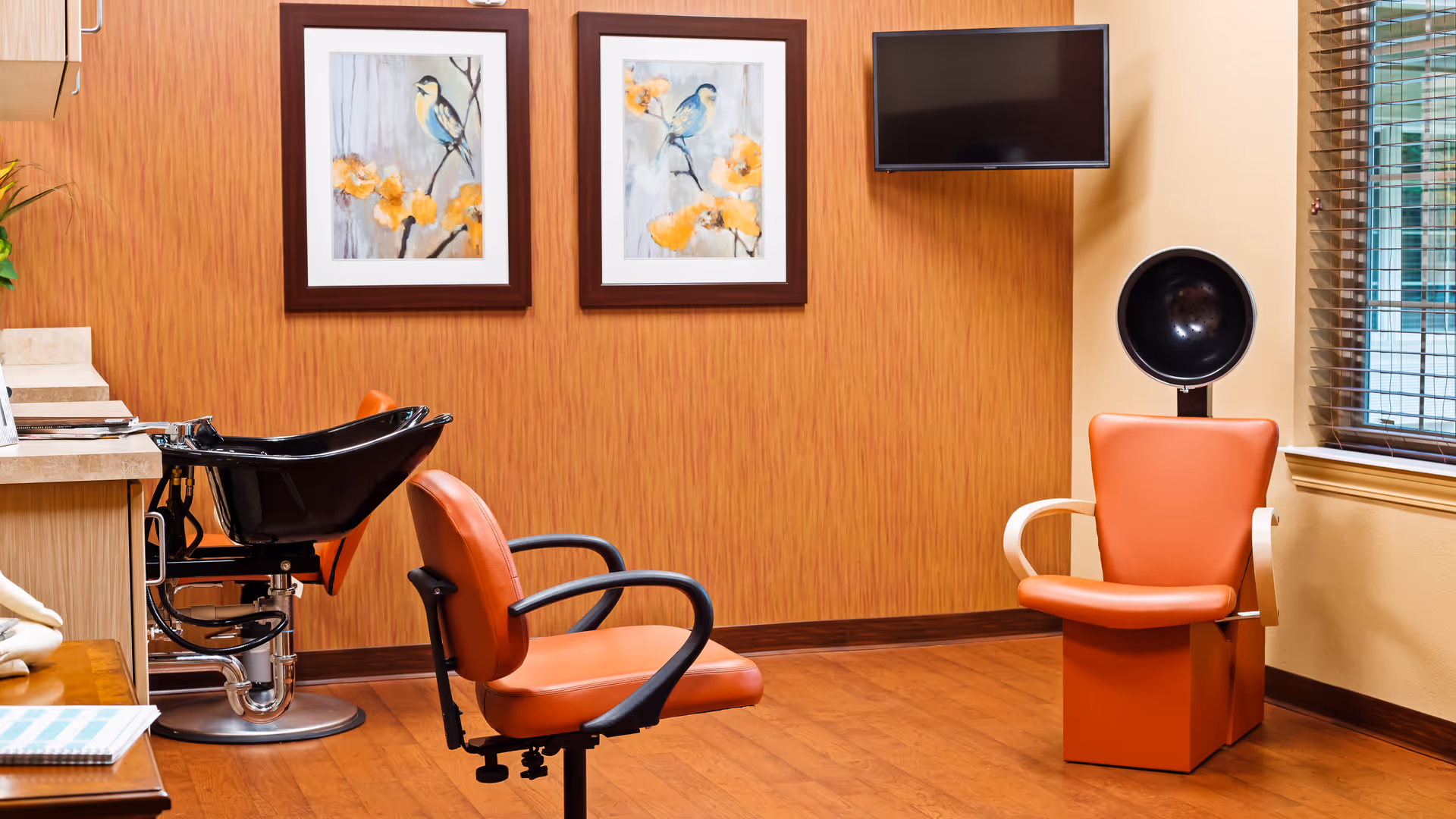 Interior of a salon area with two orange salon chairs, one positioned in front of a black hair washing sink and the other under a hair dryer. The room has wooden flooring, orange textured walls with two framed bird paintings, a wall-mounted TV, and a window with blinds.
