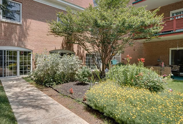 Outdoor garden area with a variety of green plants and yellow flowers in front of a brick building with large windows and a balcony above.