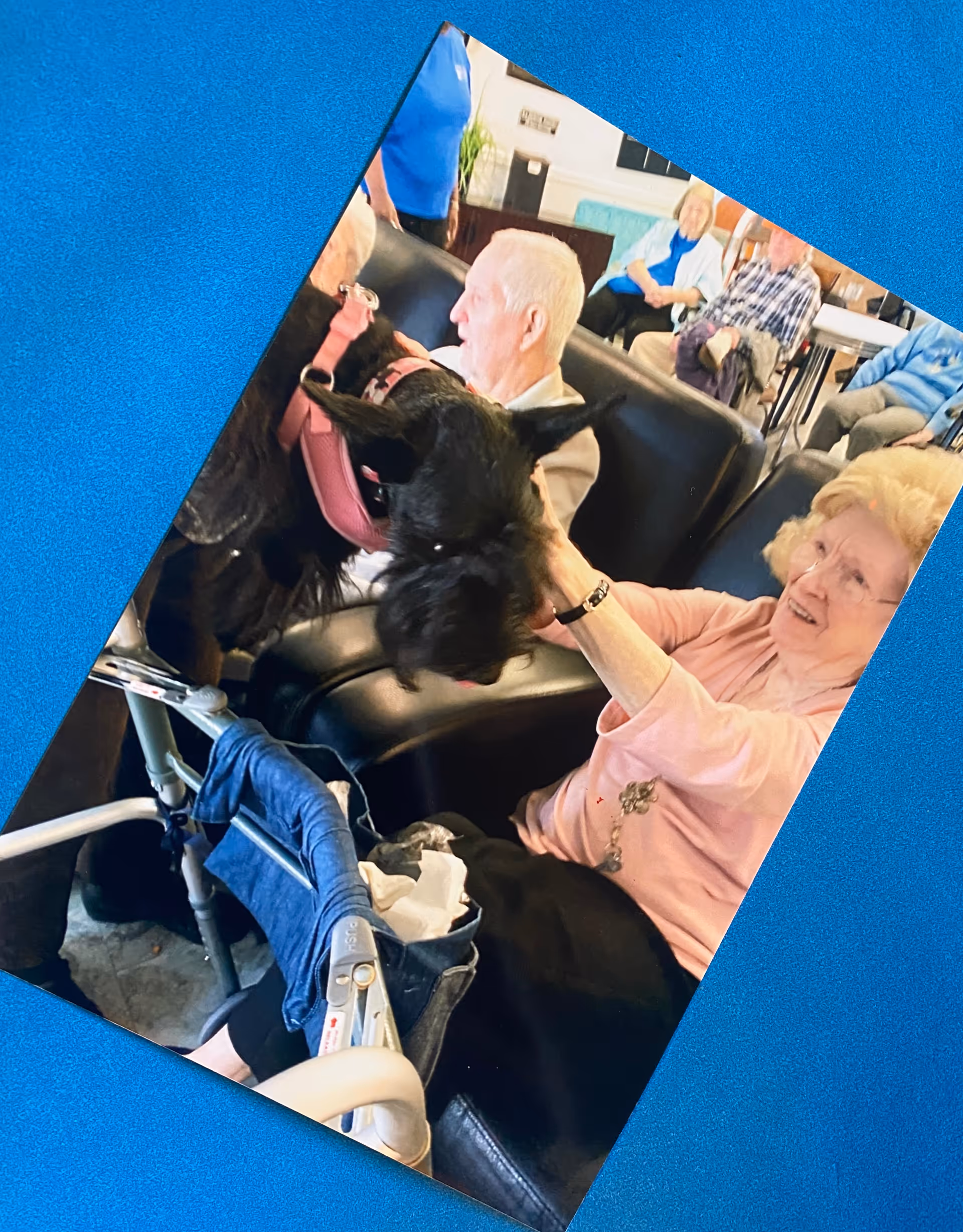 Elderly residents sitting in a common area of a memory care facility, interacting with a large black dog wearing a pink harness. One woman is petting the dog while seated in a black leather chair, and other residents are visible in the background.