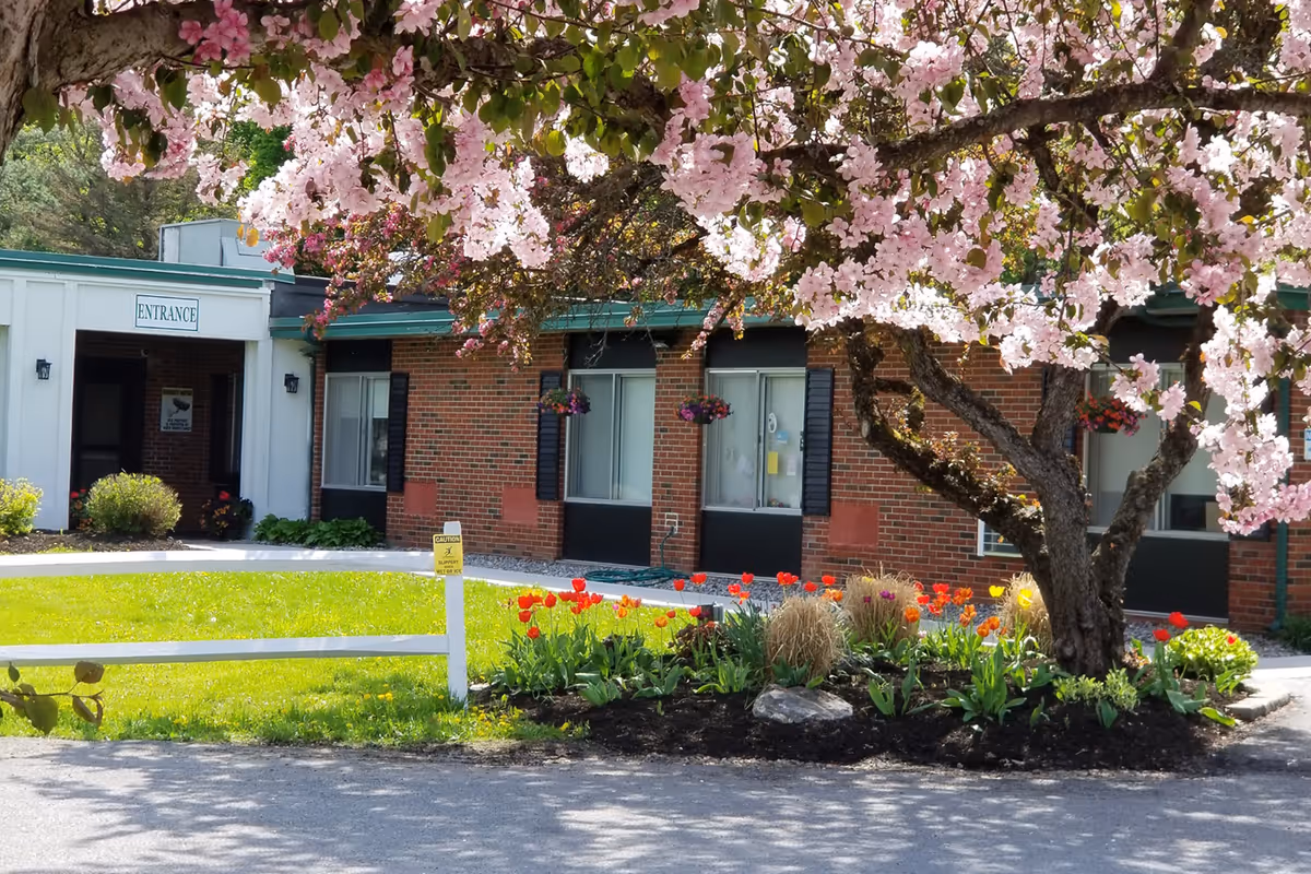 Front entrance of a brick nursing center framed by a blooming pink tree and a tulip-filled flowerbed.