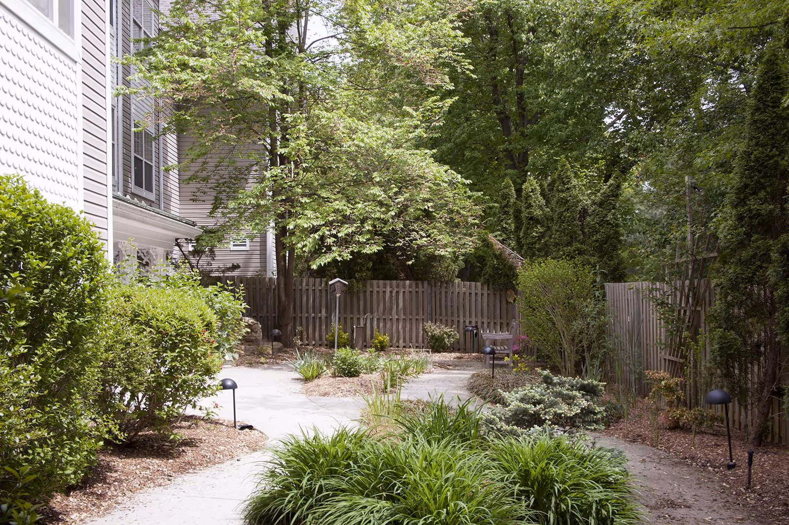 A peaceful outdoor garden area with a paved walkway surrounded by green bushes, trees, and plants. There is a wooden fence in the background and a building wall on the left side.