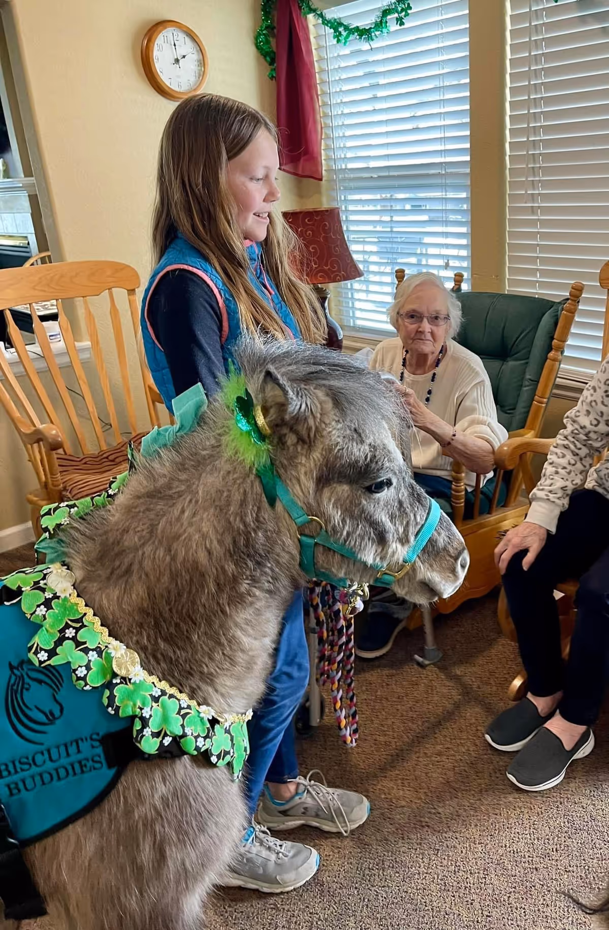 A small gray pony wearing a green harness and a decorative vest with shamrocks stands indoors next to a young girl and two elderly women seated in wooden rocking chairs in a cozy room with a clock on the wall and window blinds.