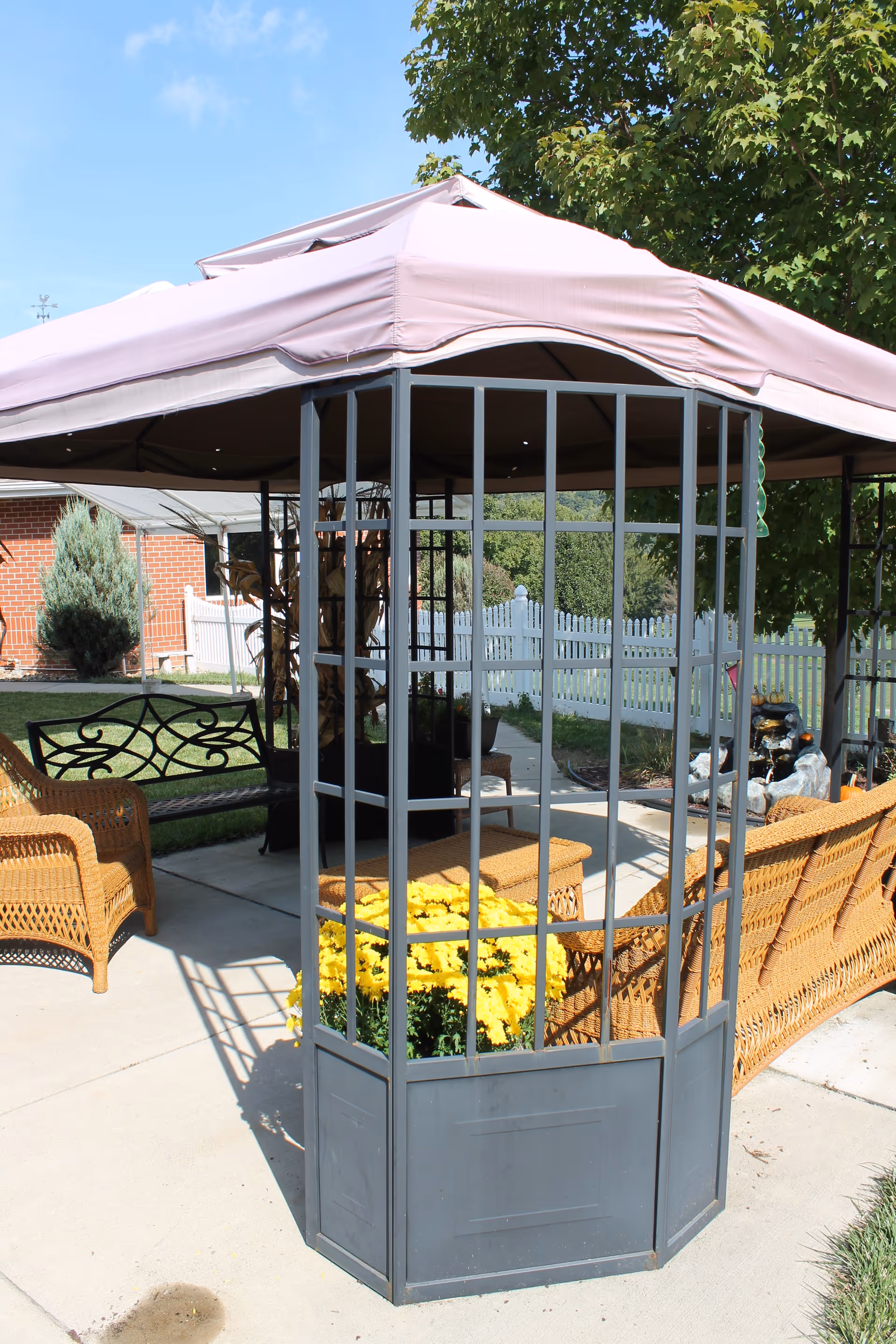 Outdoor seating area with wicker chairs and a bench under a canopy with a pinkish cover. There is a gray metal trellis with yellow flowers in front, a white picket fence in the background, and a tree providing shade.