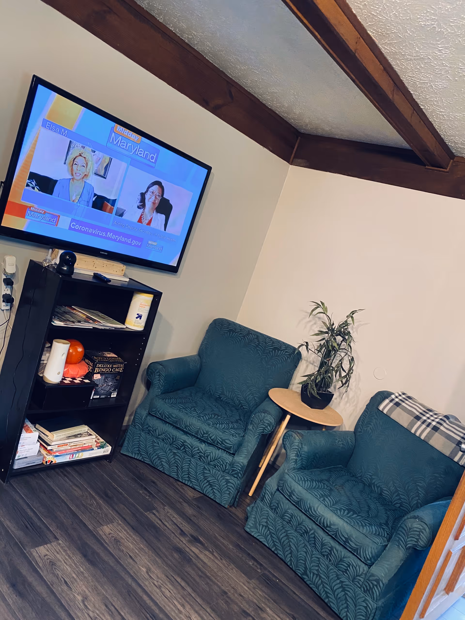 Two green upholstered armchairs beside a small round table and potted plant facing a wall-mounted TV and shelving unit under exposed wooden ceiling beams.