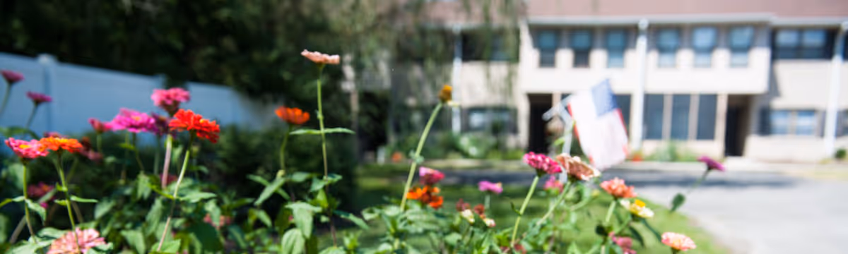 Close-up colorful garden flowers with a blurred senior living building and an American flag in the background.