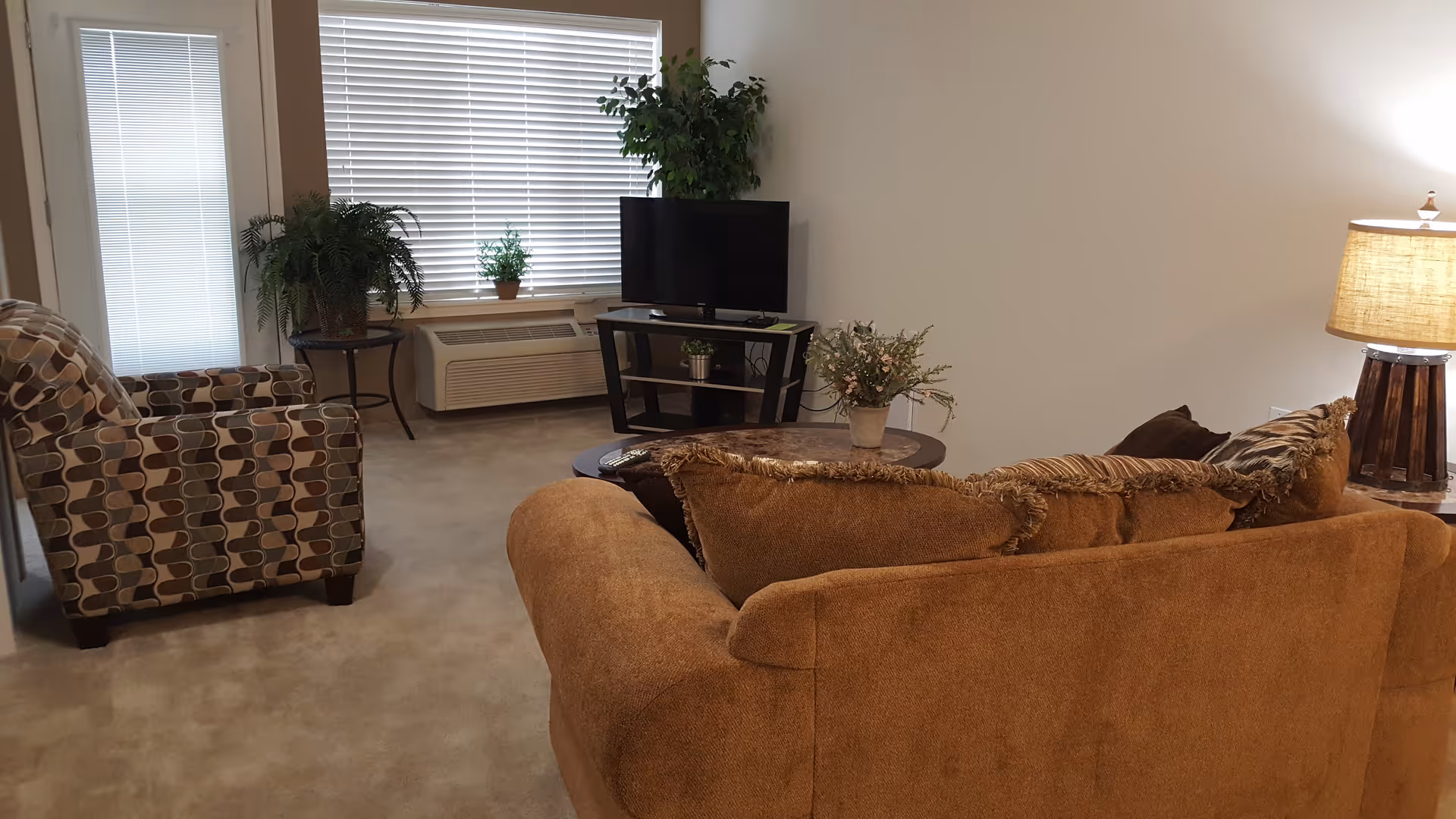 Living room with a brown sofa and patterned armchair facing a small TV, side table, plants, and a lamp.