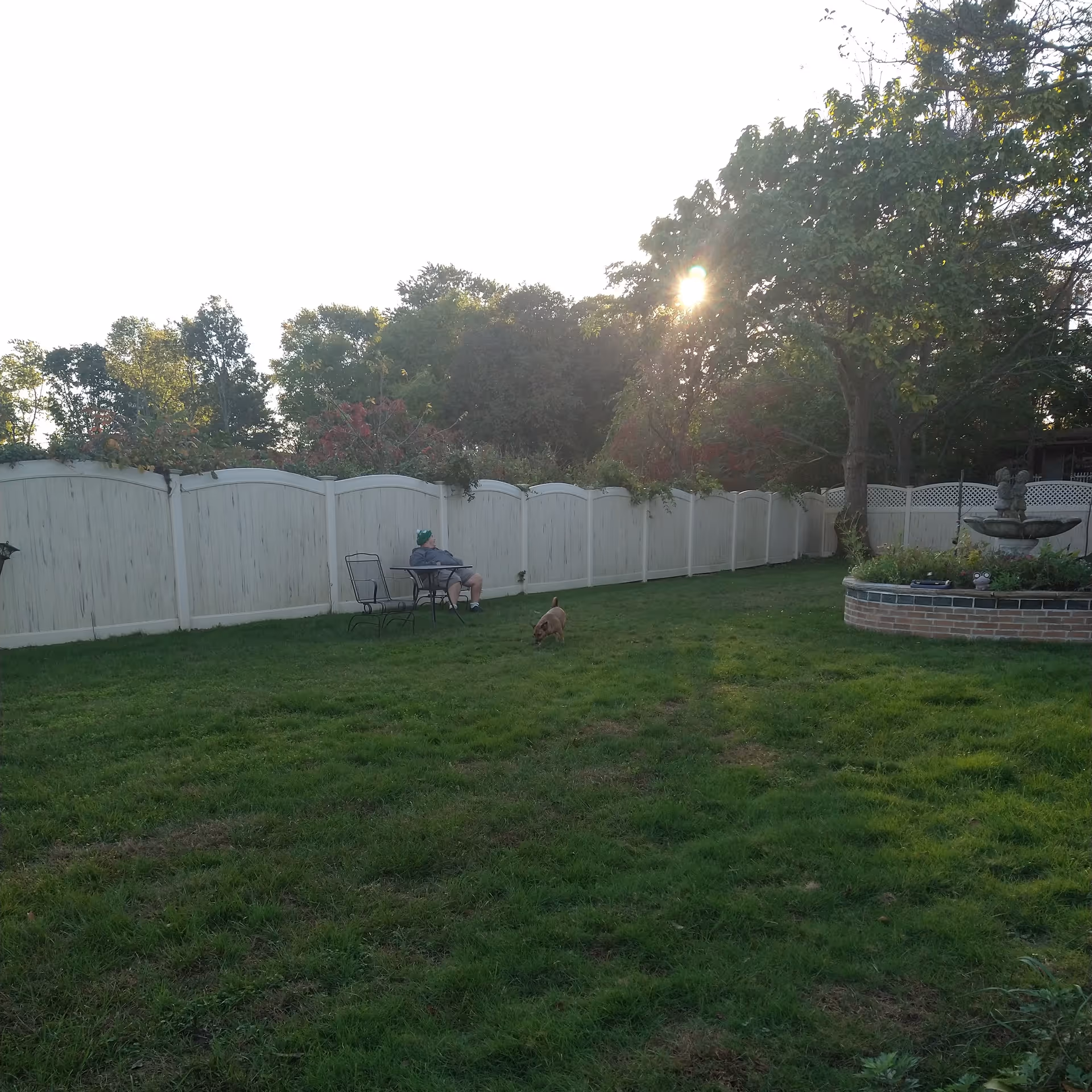 A person sitting on a metal chair at a small table in a grassy fenced backyard area with a dog nearby. There is a large tree and a circular brick planter with a fountain on the right side. The sun is shining through the trees in the background.