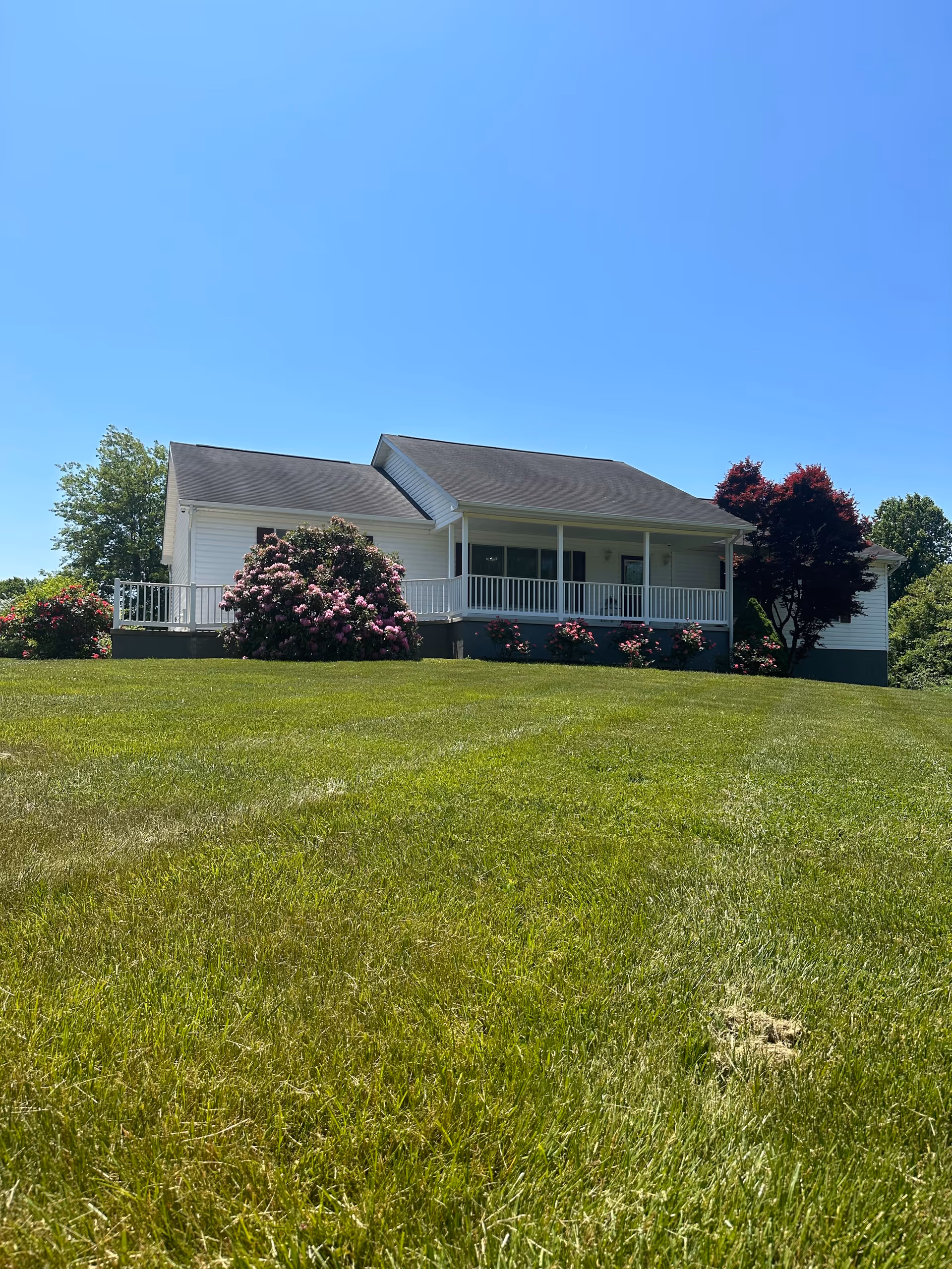 White single-story house with a covered front porch, flowering shrubs and a large green lawn under a clear blue sky.