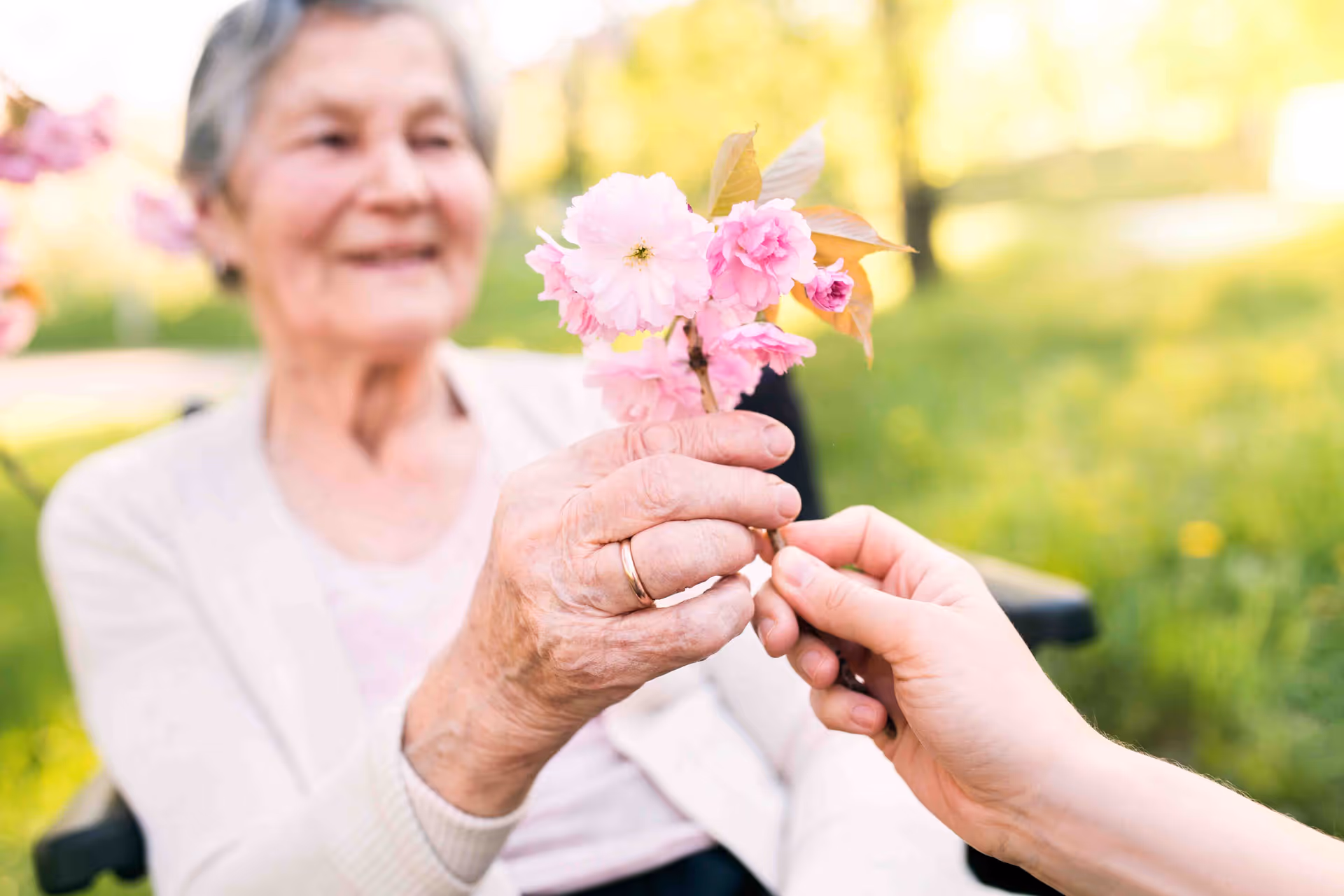 An elderly woman sitting outdoors smiling as she holds a small branch of pink flowers being handed to her by another person.
