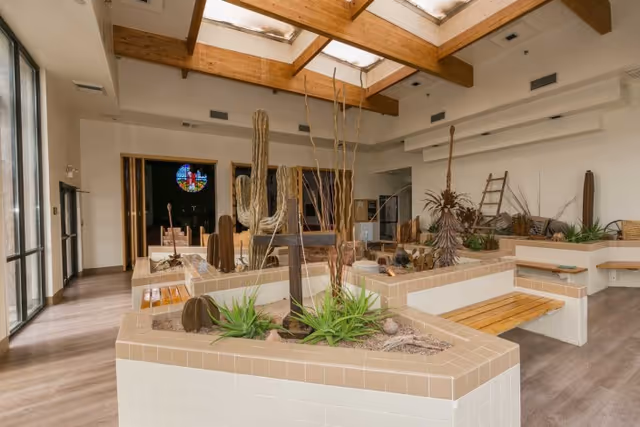 Interior view of a spacious room with large tiled planters containing various desert plants such as cacti and succulents. The room features wooden beams on the ceiling with skylights, light-colored walls, and wood flooring. There are built-in wooden benches around the planters and large windows on one side letting in natural light.