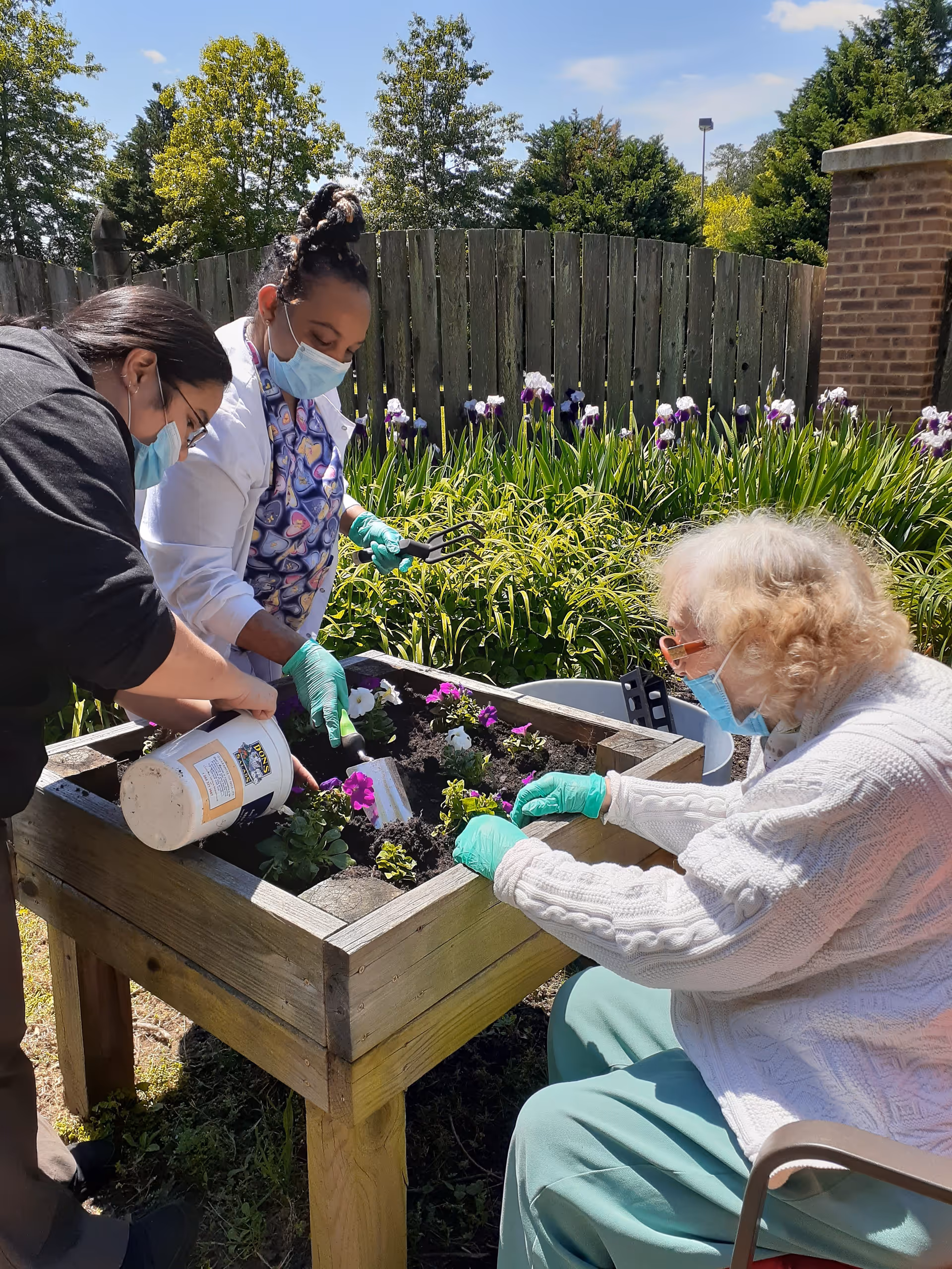 Three women wearing face masks and gloves are gardening together outdoors. They are planting flowers in a raised wooden garden bed with green plants and purple flowers in the background. One woman is seated while the other two are standing and assisting with the planting.