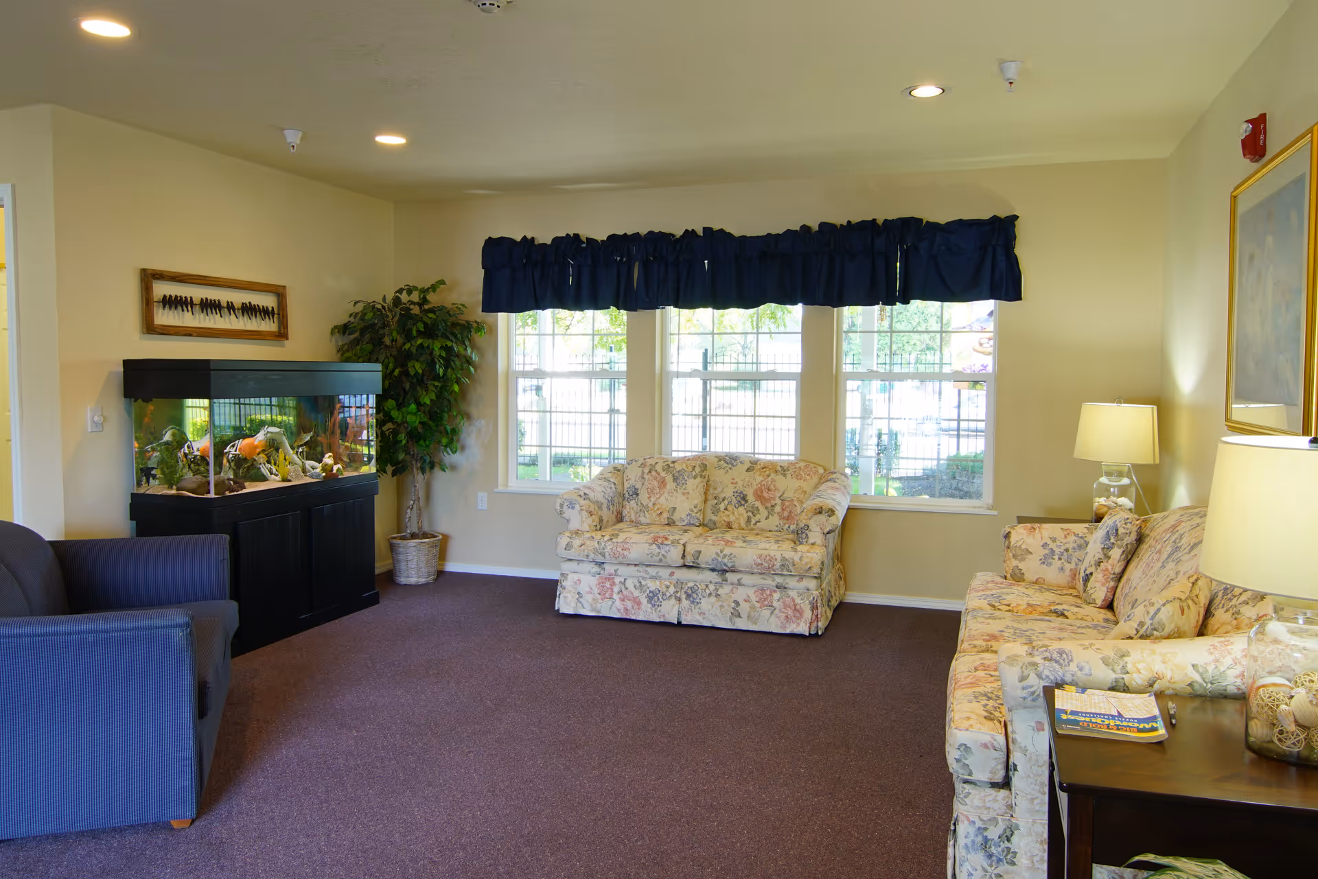A cozy living room with floral patterned sofas, a dark blue armchair, a large fish tank on a black stand, a potted plant, and three large windows with dark blue valances letting in natural light. There are two table lamps on wooden side tables and a framed picture on the wall.