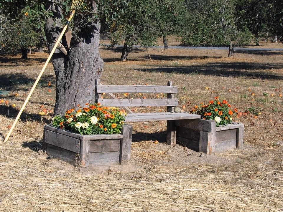 A rustic wooden bench with two attached planter boxes filled with colorful flowers, placed outdoors near a tree in a dry grassy area with scattered fallen fruit and trees in the background.