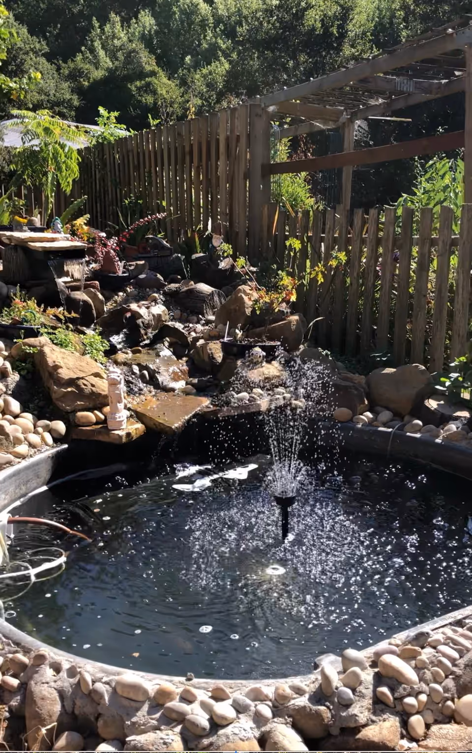 A small outdoor garden pond with a water fountain in the center, surrounded by rocks and plants. A wooden fence and greenery are visible in the background under bright sunlight.
