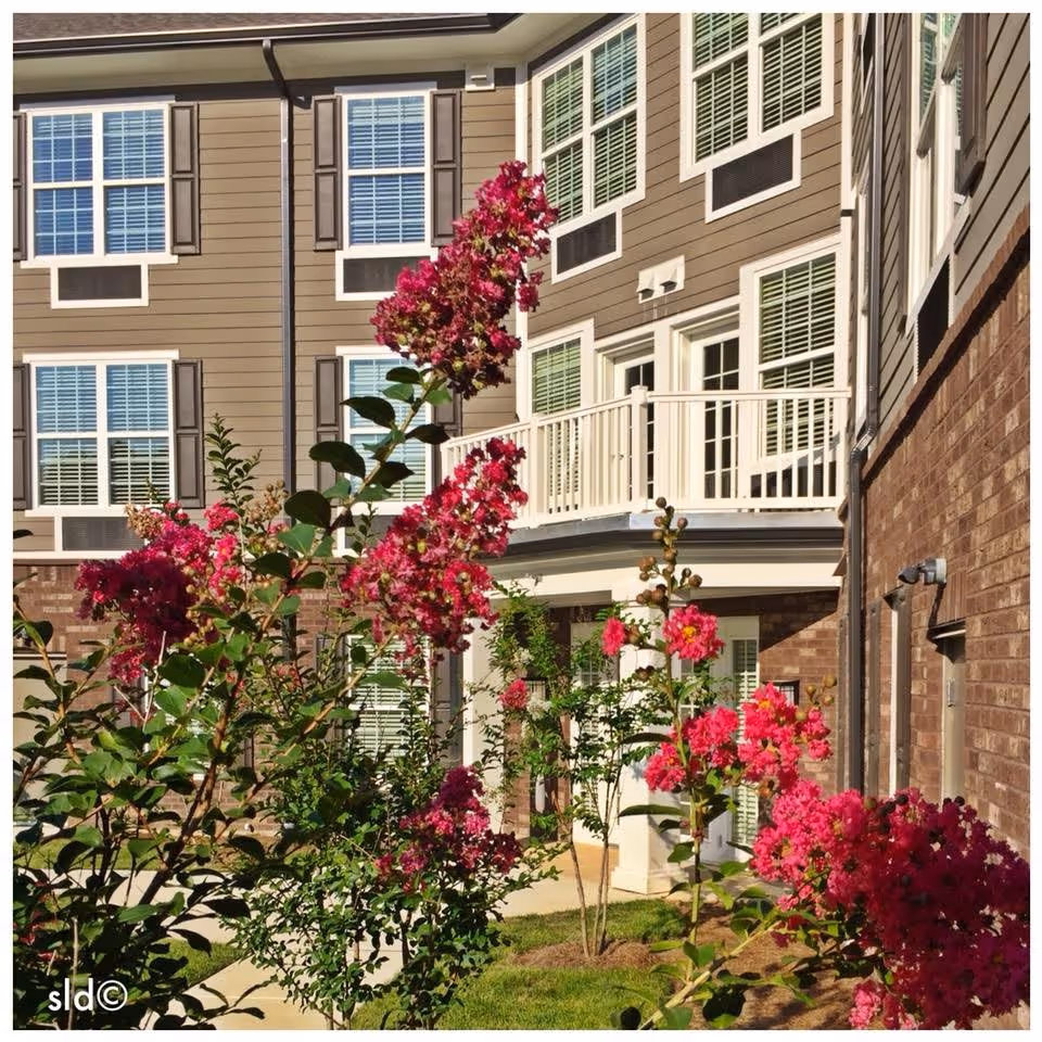 Exterior view of a senior living facility building with beige siding and brick walls, white-framed windows with shutters, and a white balcony railing. In the foreground, there are vibrant pink flowering plants and green shrubs along a paved walkway.