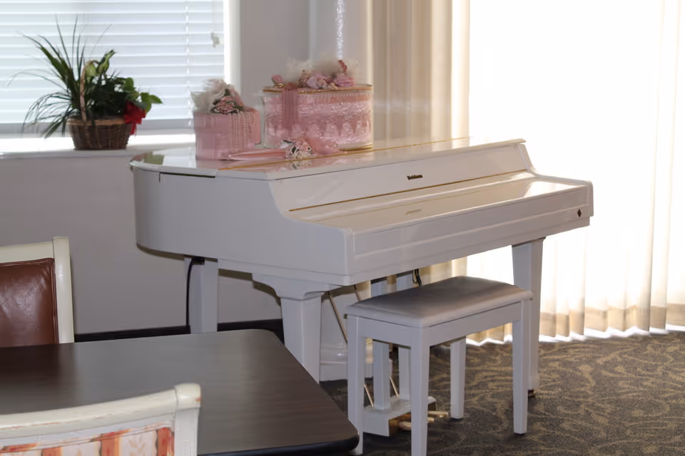White piano with a matching bench in a room with carpeted floor, a window with blinds and a curtain, a table with chairs, and a plant in a basket on the windowsill. Decorative pink boxes are placed on top of the piano.