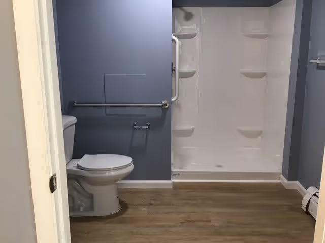 A bathroom with a white toilet on the left side and a walk-in shower with built-in shelves on the right. The walls are painted blue, and the floor has wood-like vinyl flooring. There is a metal grab bar on the wall next to the toilet and a toilet paper holder beneath it.