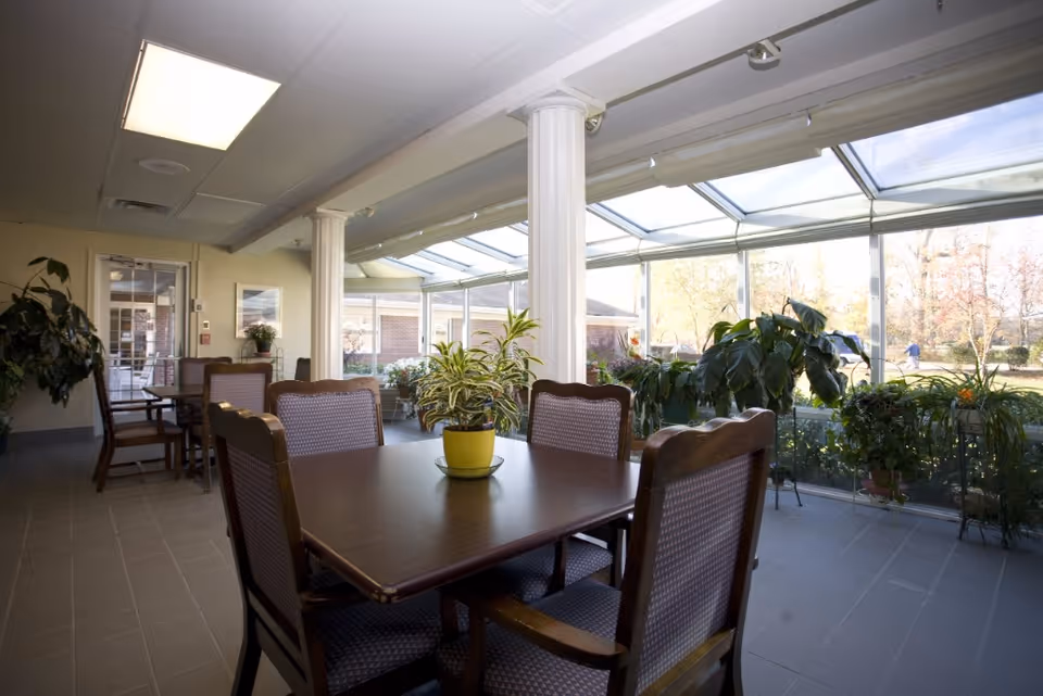 A bright indoor seating area with wooden tables and cushioned chairs. The space features large windows and a glass ceiling allowing natural light to fill the room. Several potted plants are placed on the tables and along the window ledge, creating a cozy and inviting atmosphere.