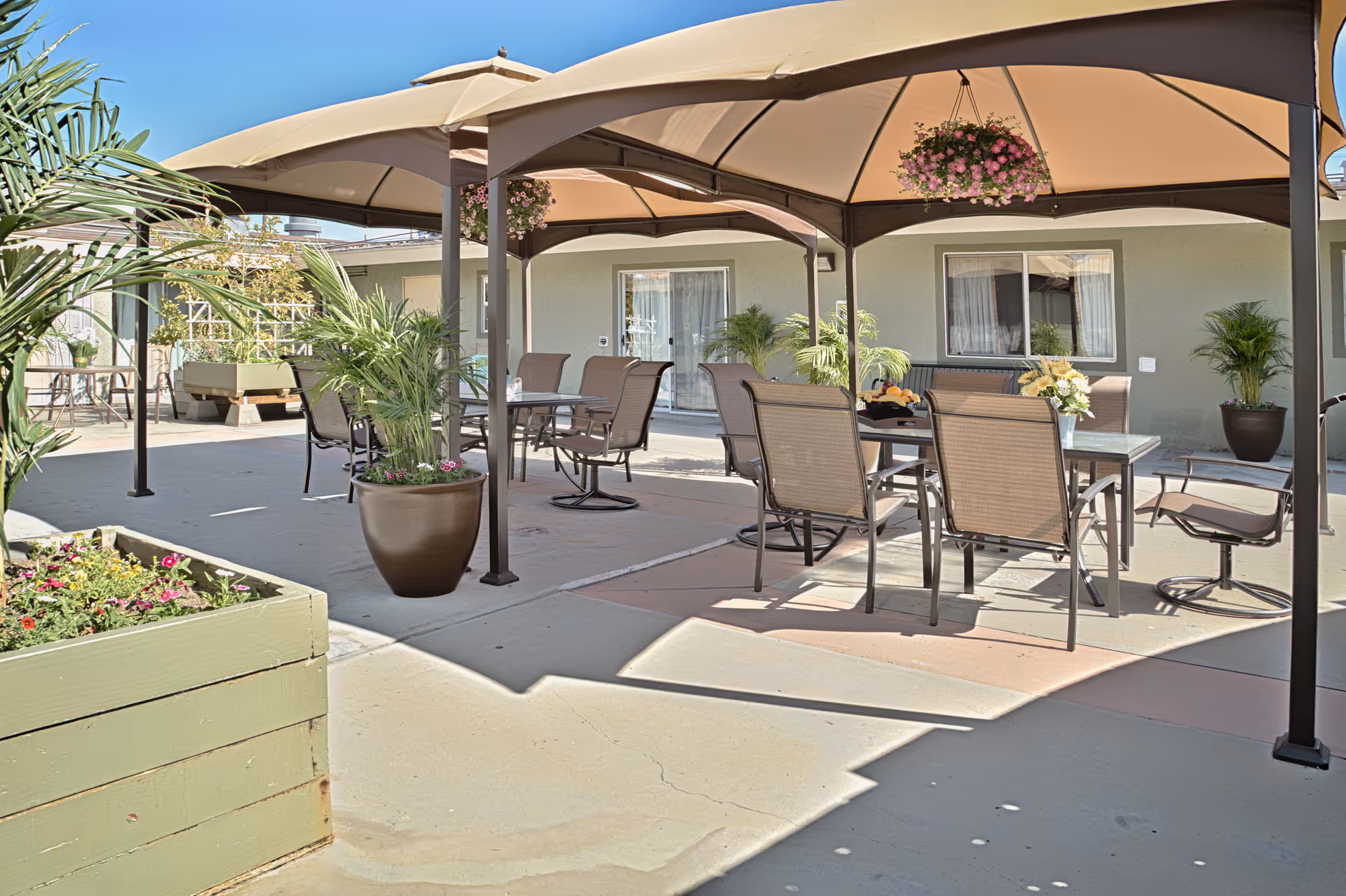 Outdoor patio area at Chapman Care Center with multiple tables and chairs under large beige canopies. There are potted plants and hanging flower baskets adding greenery and color to the space. The patio is adjacent to a building with windows and sliding glass doors.