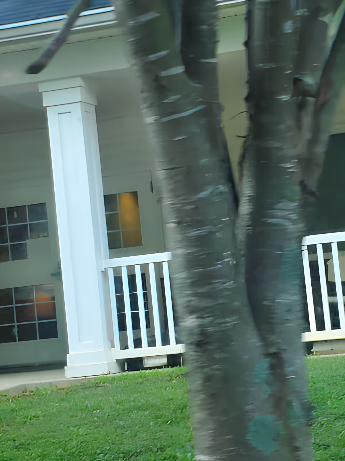 Porch of a light-colored building with white columns and railings partially obscured by a tree trunk and grass in the foreground.